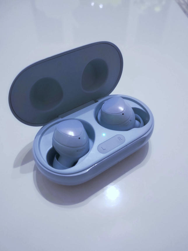 Samsung Galaxy Buds+ in a case